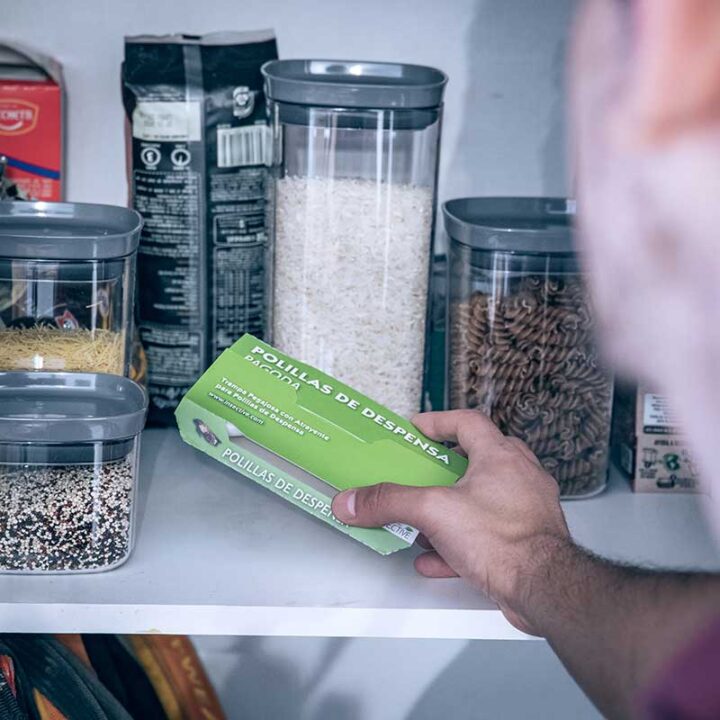 Trampa pegajosa para polilla de despensa